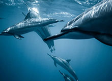 开云-爱游戏，KaiyunSports-开云体育：以热爱为引擎的全场景娱乐之旅